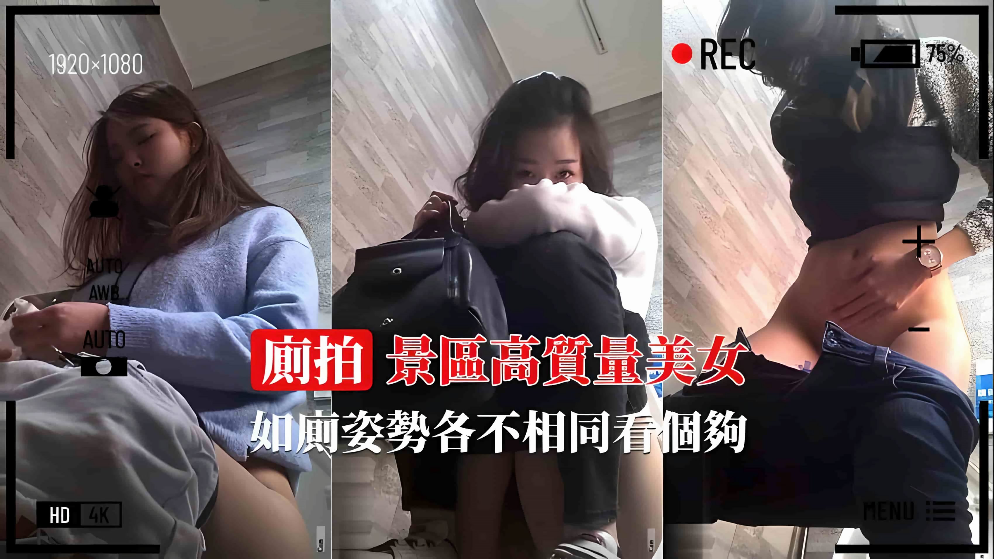 【景区厕拍】高质量美女如厕姿势各不相同